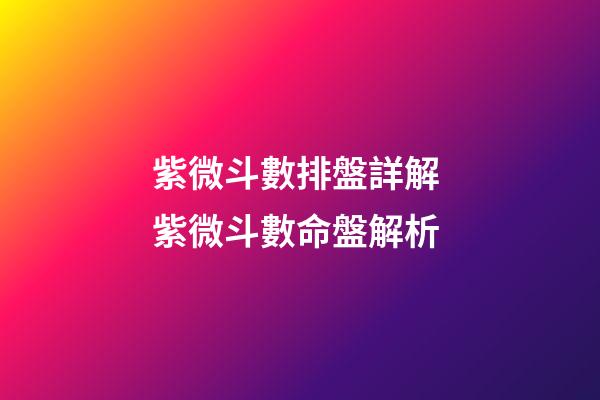 紫微斗數排盤詳解 紫微斗數命盤解析-第1張-觀點-玄機派